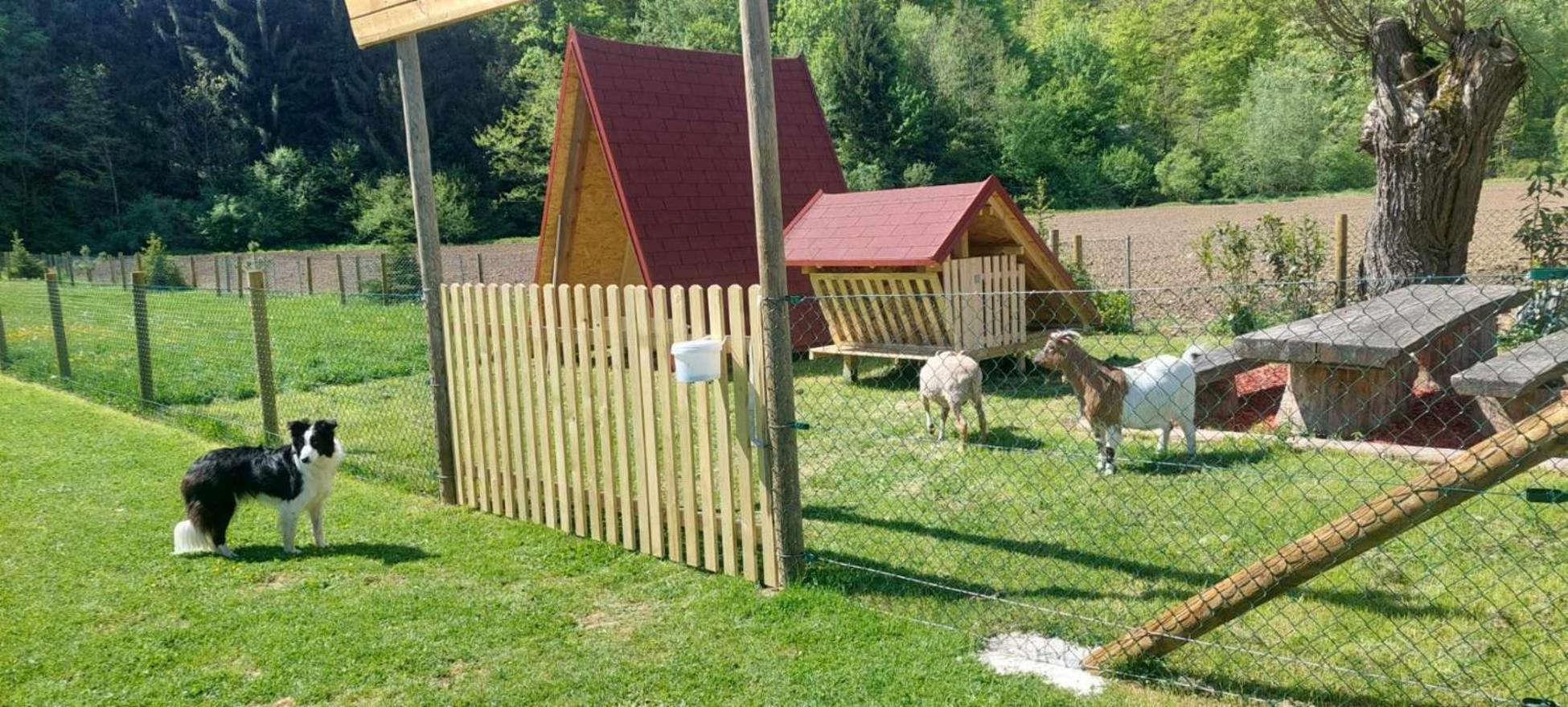 Land Family Fun Sport Smarje pri Jelsah